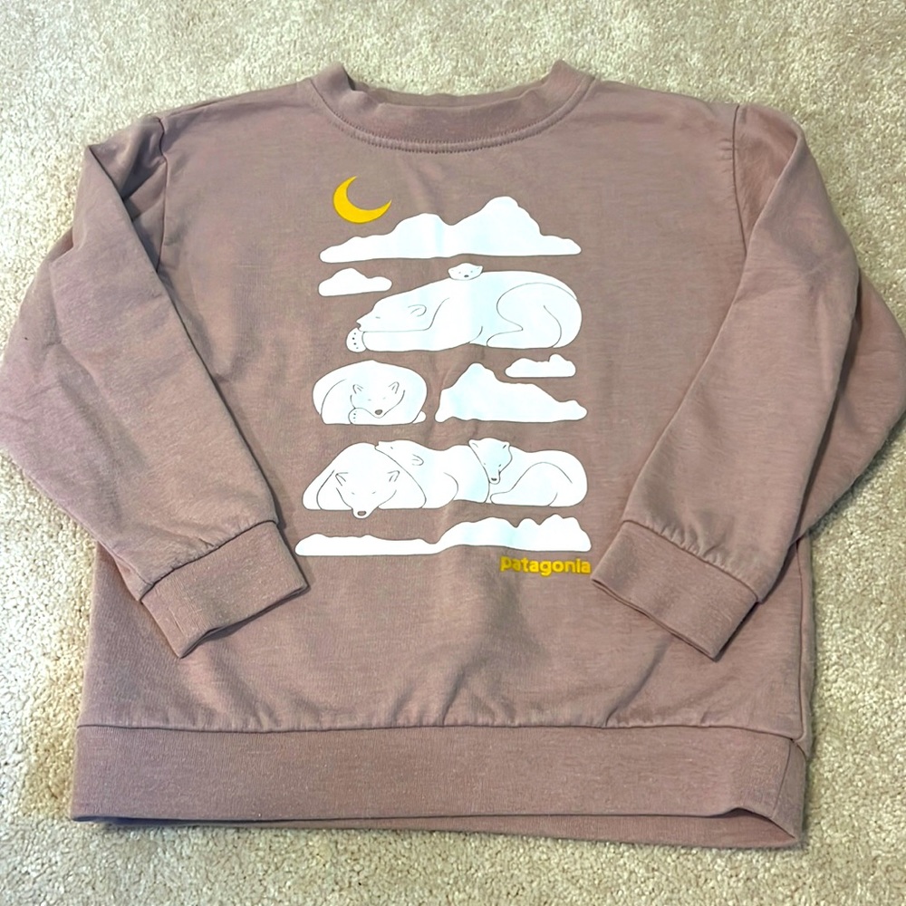Patagonia sweatshirt size 5T